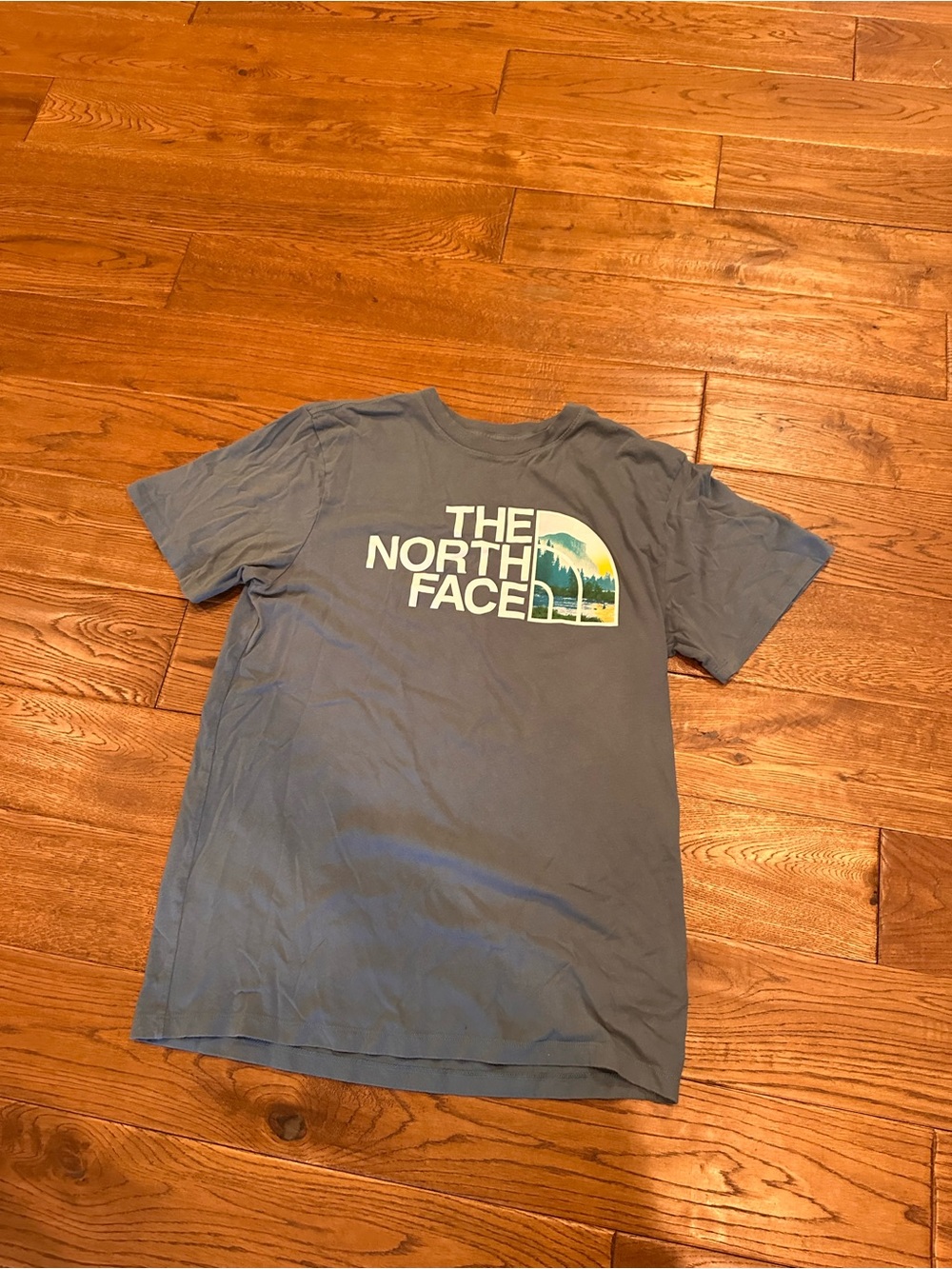 The North Face Men's Slate Blue Logo Tee with Scenic Graphic